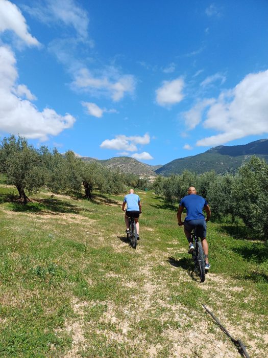 herstel, expert, test, scan, mannen retreat stoer power wandelen midlife crisis man	 persoonlijke ontwikkeling  Coaching Expert rust in je hoofd burn-out voorkomen werk privé balans		 coach voor ondernemers		 succes zonder stress mannen retreat	 gedragsverandering leiderschapscoach  persoonlijke ontwikkeling coach  coach voor ondernemers